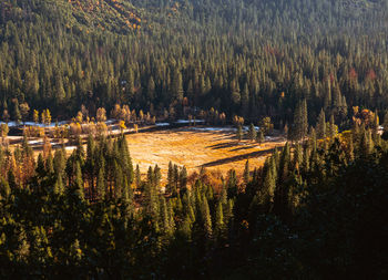 Scenic view of field