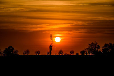 Silhouette trees on field against orange sky during sunset