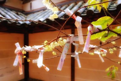 Close-up of decorations hanging on wall