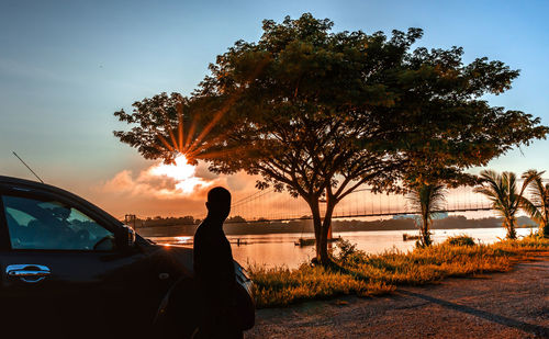 Man by tree against sky during sunset