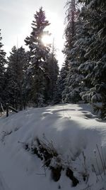 Scenic view of snow covered landscape