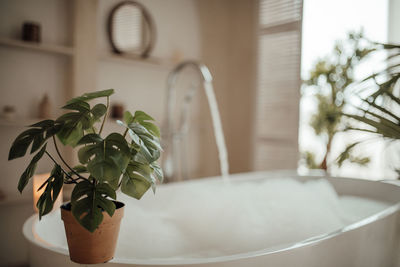 Luxury interior of big bathroom at modern african style with oval bathtub in natural lighting