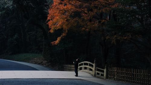 Road amidst trees in park during autumn