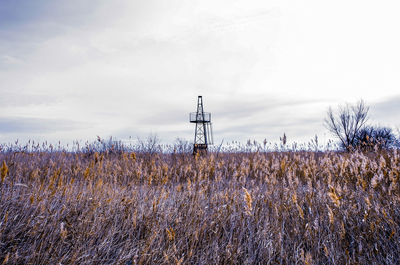 Agricultural field against sky during sunset