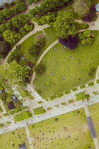 High angle view of walkway in park