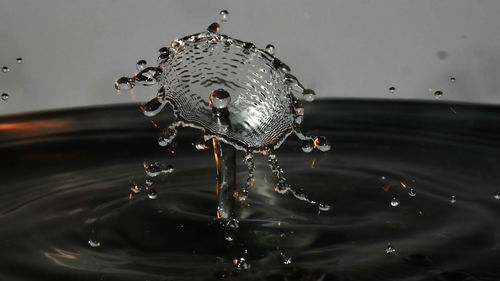 Close-up of water splashing