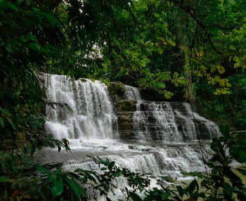 Scenic view of waterfall in forest