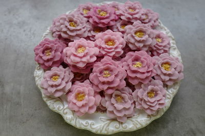 High angle view of pink roses