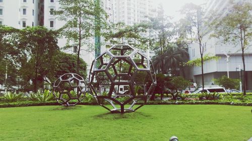 View of trees in city