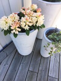 High angle view of potted plant on table