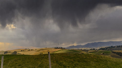 Scenic view of field against sky