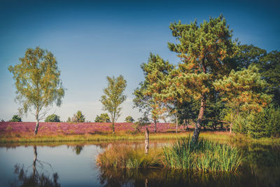Trees by lake against sky during autumn