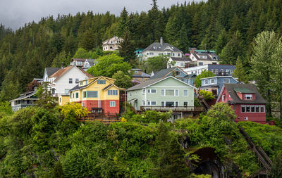 Trees and houses