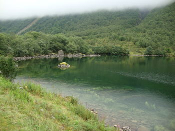 Scenic view of lake by trees against sky