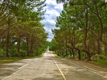 Road amidst trees against sky