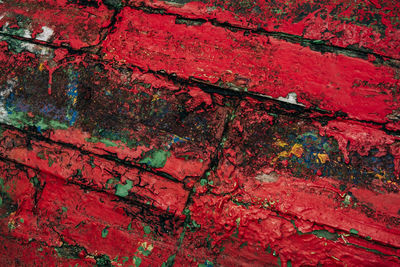 Full frame shot of red tree