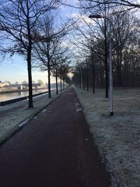 Empty road amidst trees against sky