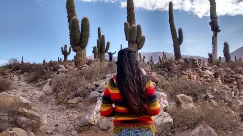 Rear view of woman standing on cactus