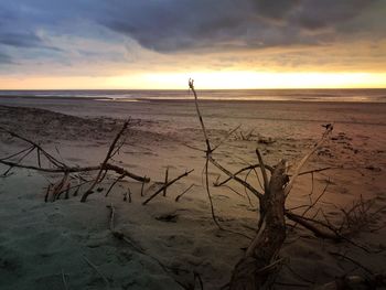 Scenic view of beach against sky during sunset