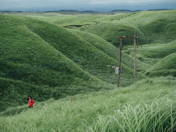 Scenic view of grassy field