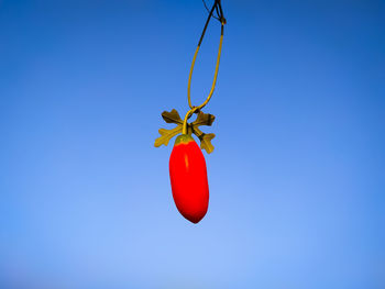 Low angle view of red berries against blue sky