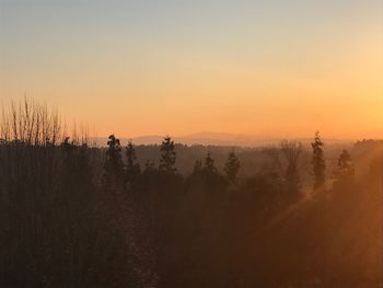 Scenic view of trees against sky during sunset