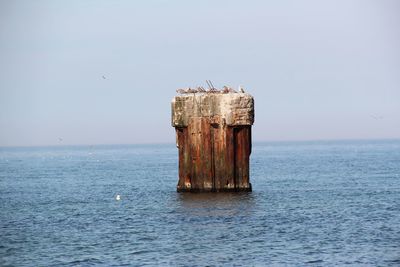 Birds perching on broken bridge column in sea