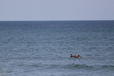 Man surfing on sea against sky