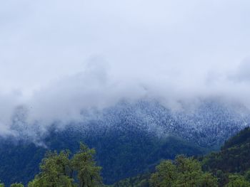 Scenic view of trees and mountains against sky