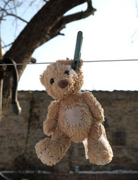Close-up of stuffed toy hanging against sky