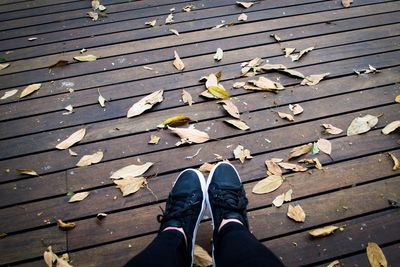 Low section of person standing on autumn leaves