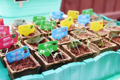 Close-up of food for sale at market