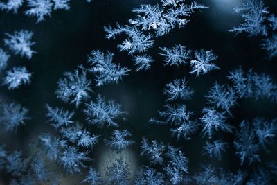 Frosted snowflakes through a glass 