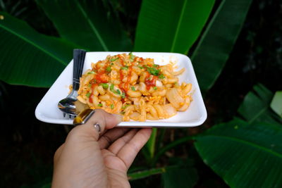 High angle view of person holding food on leaves