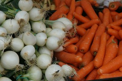 Close-up of pumpkins for sale at market stall