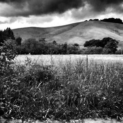 Scenic view of field against cloudy sky