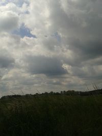 Scenic view of grassy field against cloudy sky