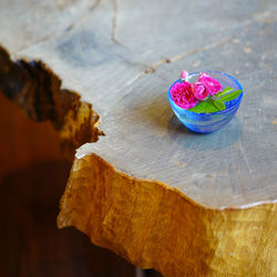 High angle view of pink flower on table