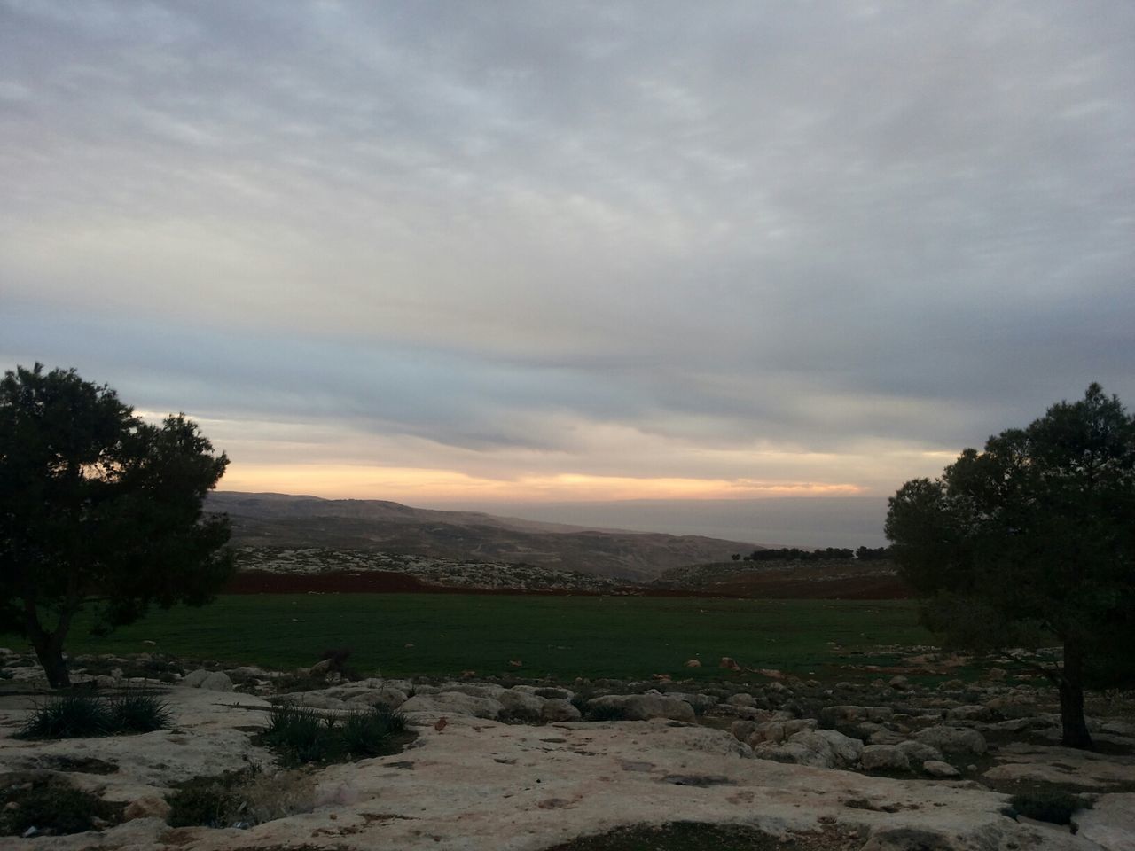 sky, cloud - sky, tranquil scene, tree, tranquility, scenics, landscape, cloudy, beauty in nature, nature, cloud, non-urban scene, field, growth, weather, idyllic, overcast, outdoors, mountain, remote