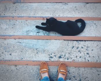 Low section of woman standing on steps