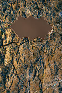 High angle view of dry leaf over water