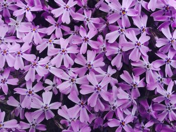 Full frame shot of purple background