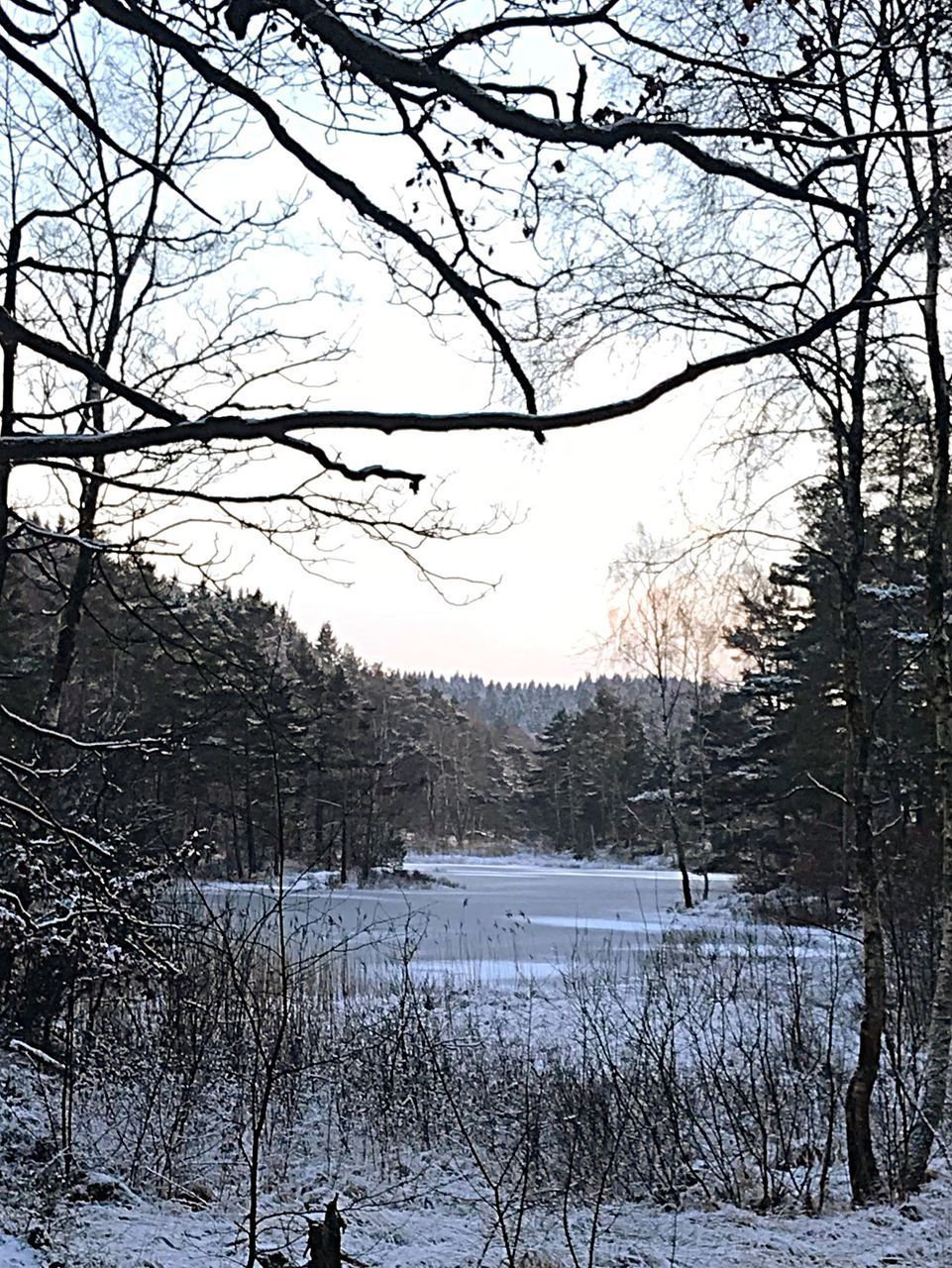 SNOW COVERED LAND AGAINST SKY