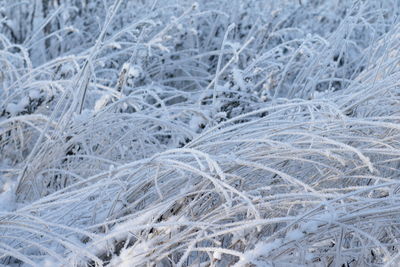 Full frame shot of snow