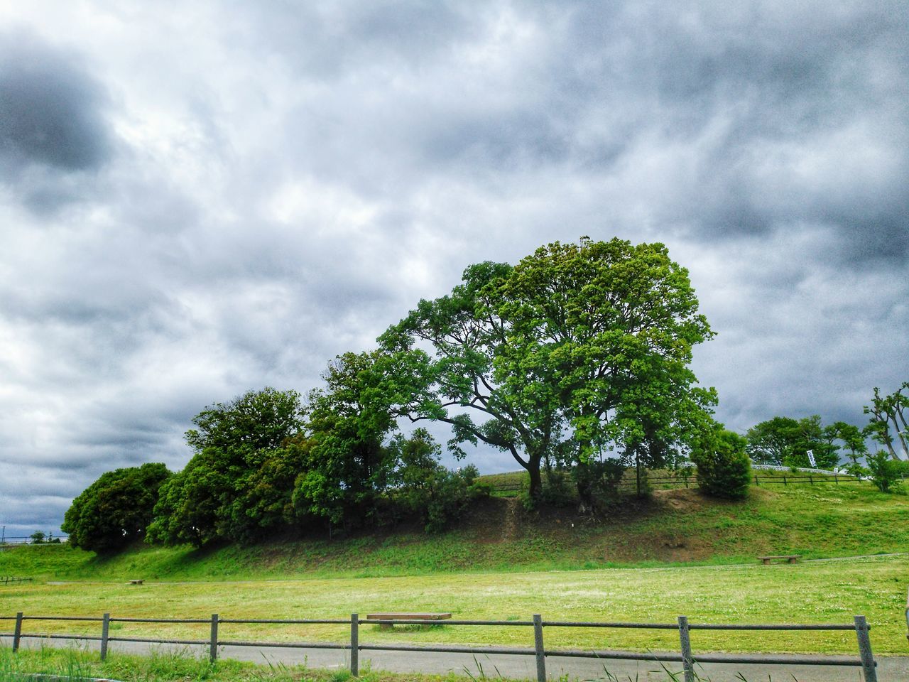 cloud - sky, sky, plant, tree, fence, barrier, boundary, nature, grass, beauty in nature, field, green color, land, tranquility, no people, landscape, growth, day, environment, tranquil scene, outdoors