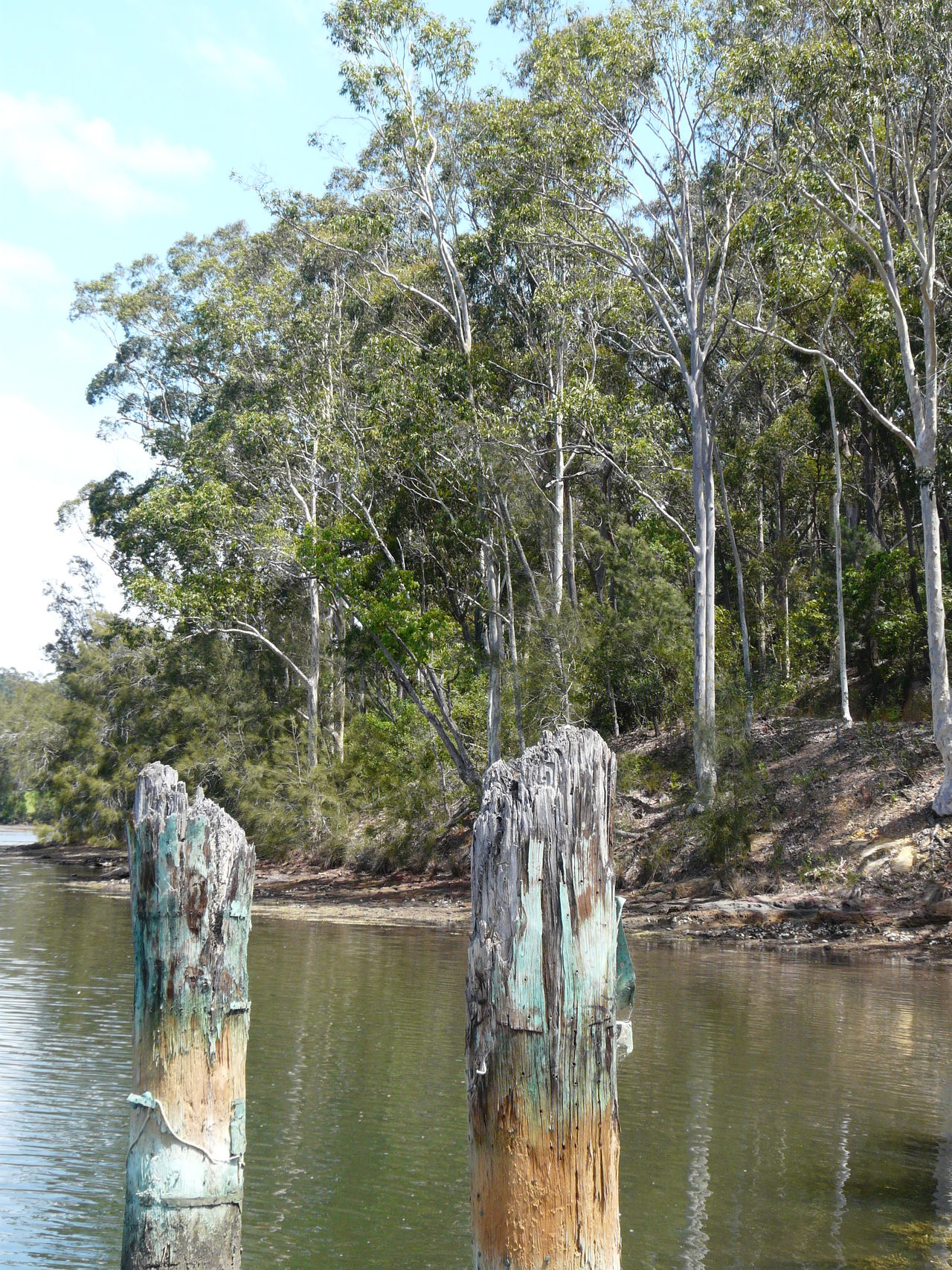 Wagonga Inlet