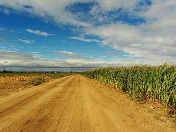 Road passing through field