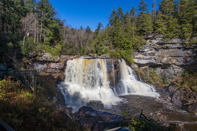 Waterfall in forest