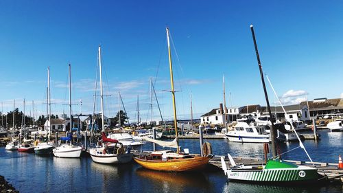 Sailboats moored at harbor against blue sky