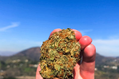 Close-up of hand holding marijuana against sky